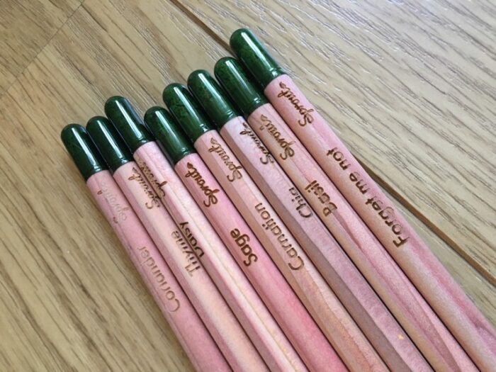 lápices plantables con libro para colorear infantil