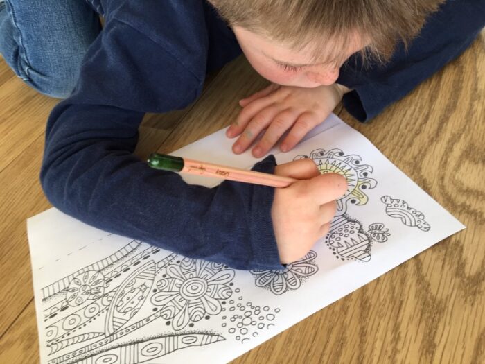 niño dibujando con lápices plantables